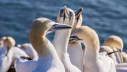 开云中国-选手转会合同细节曝光，选手转会合同细节曝光违法吗