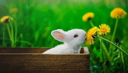 开云中国-选手转会合同细节曝光，选手转会合同细节曝光违法吗