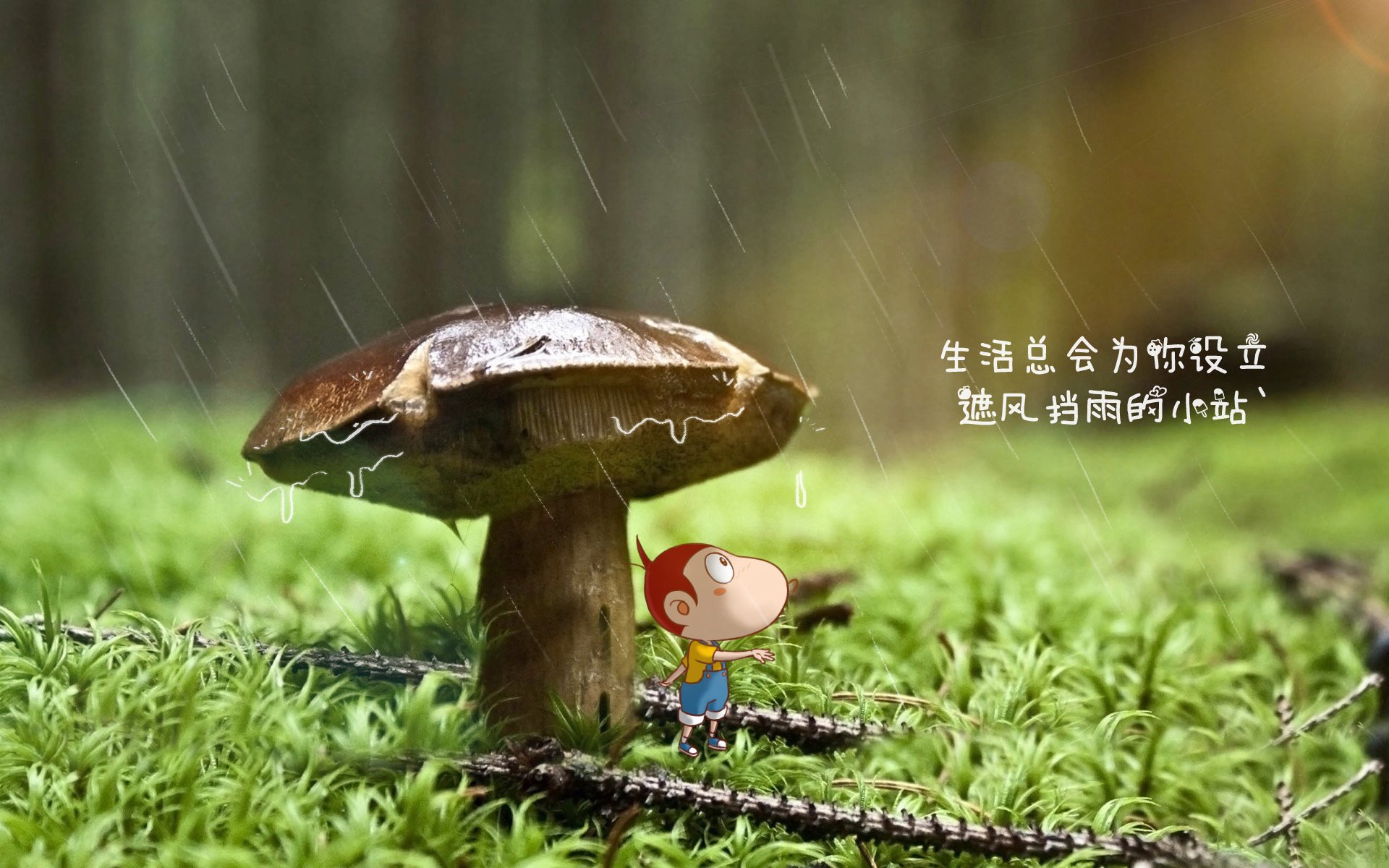 澳大利亚球员再次参加欧洲联赛，挑战全球巨星，澳大利亚球员名单