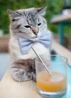 校园体育场馆智能调度方案研究,校园体育场馆智能调度方案研究内容