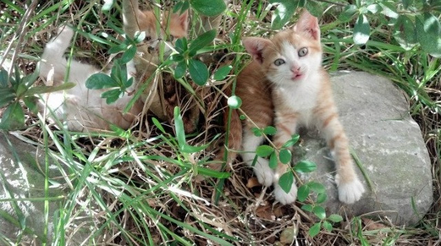 东亚杯中国青年队晋级 球员状态越来越好,中国队东亚杯冠军