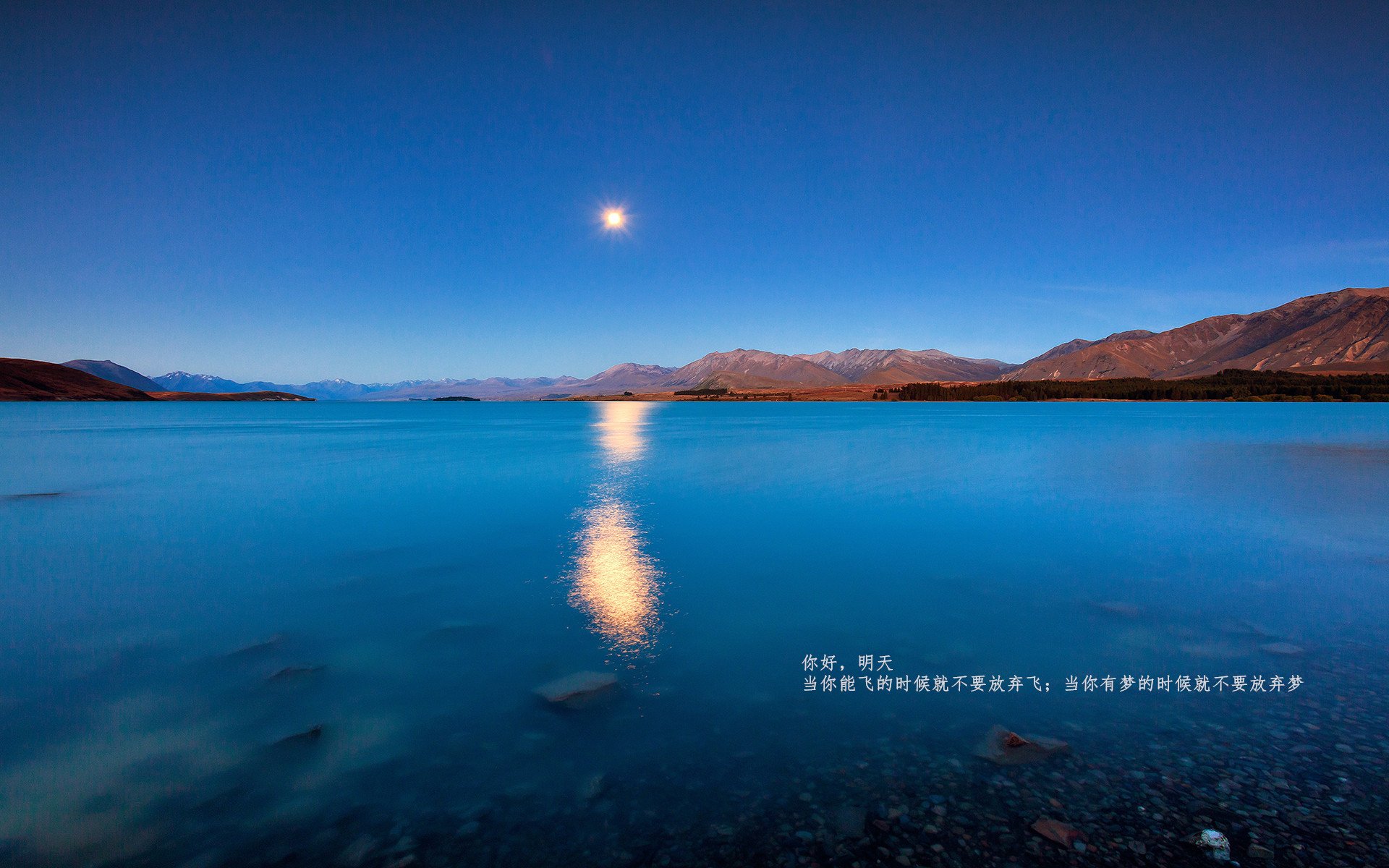 世界杯经典瞬间:动容,永不褪色的记忆,世界杯超燃视频