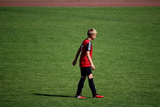 开云官方网页登录-中国足球俱乐部青训营技术指导持续加强，中国足球青训机构