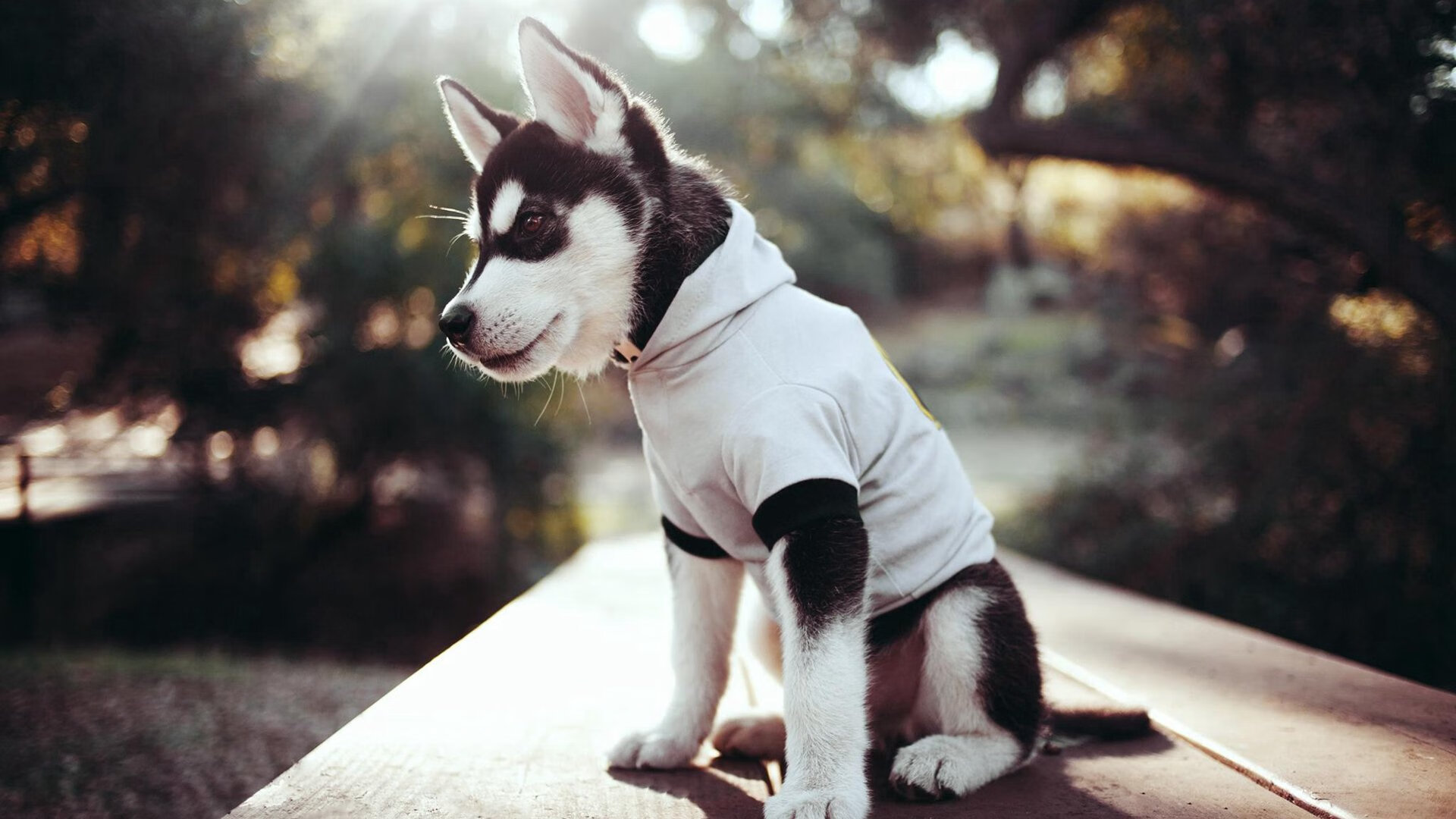 勇士主帅称目标仍是卫冕冠军,勇士晋级