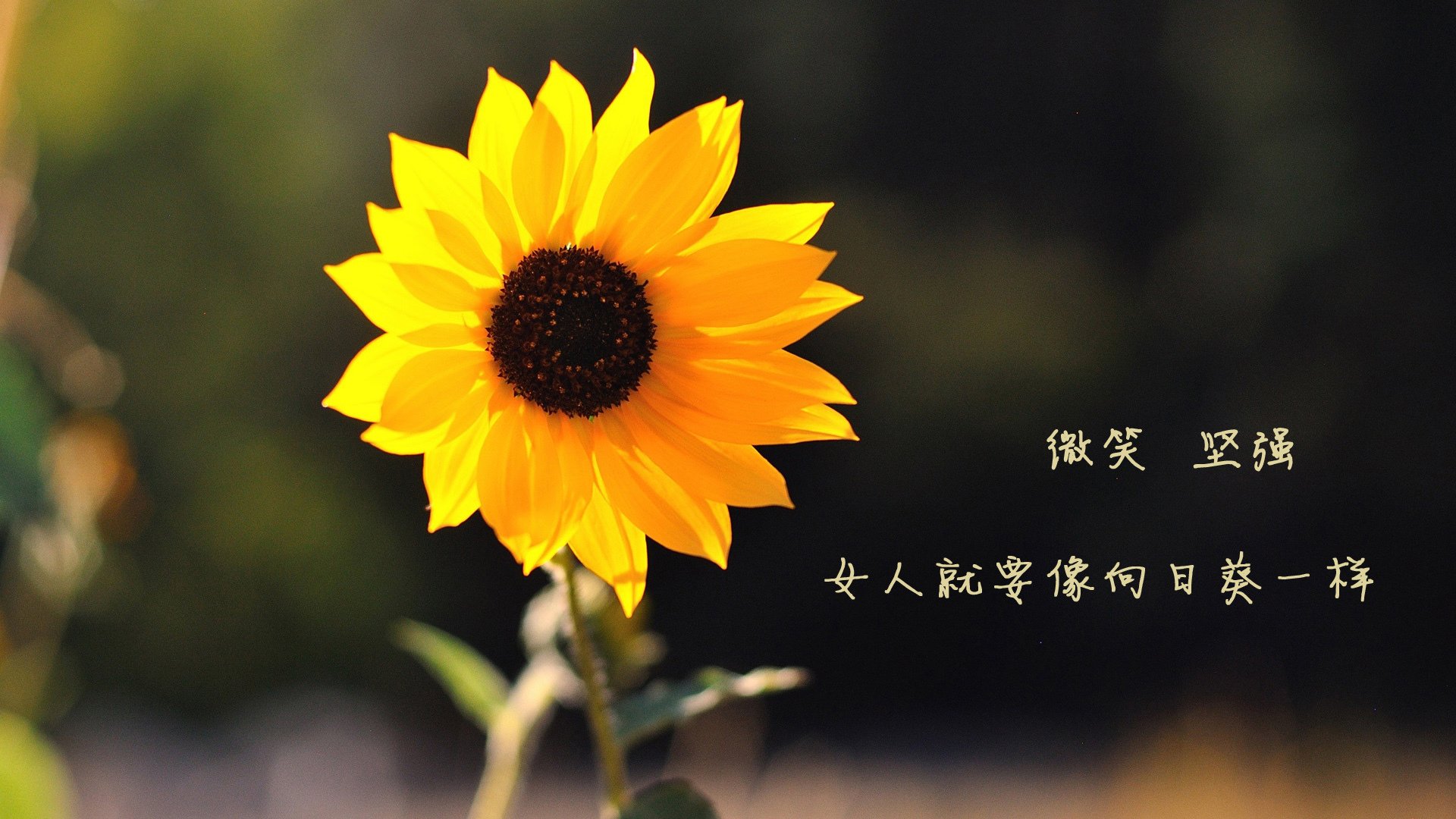 kaiyun官方入口登录-叶门男篮努力拼搏，期待在国际舞台上证明自己，电影叶门3