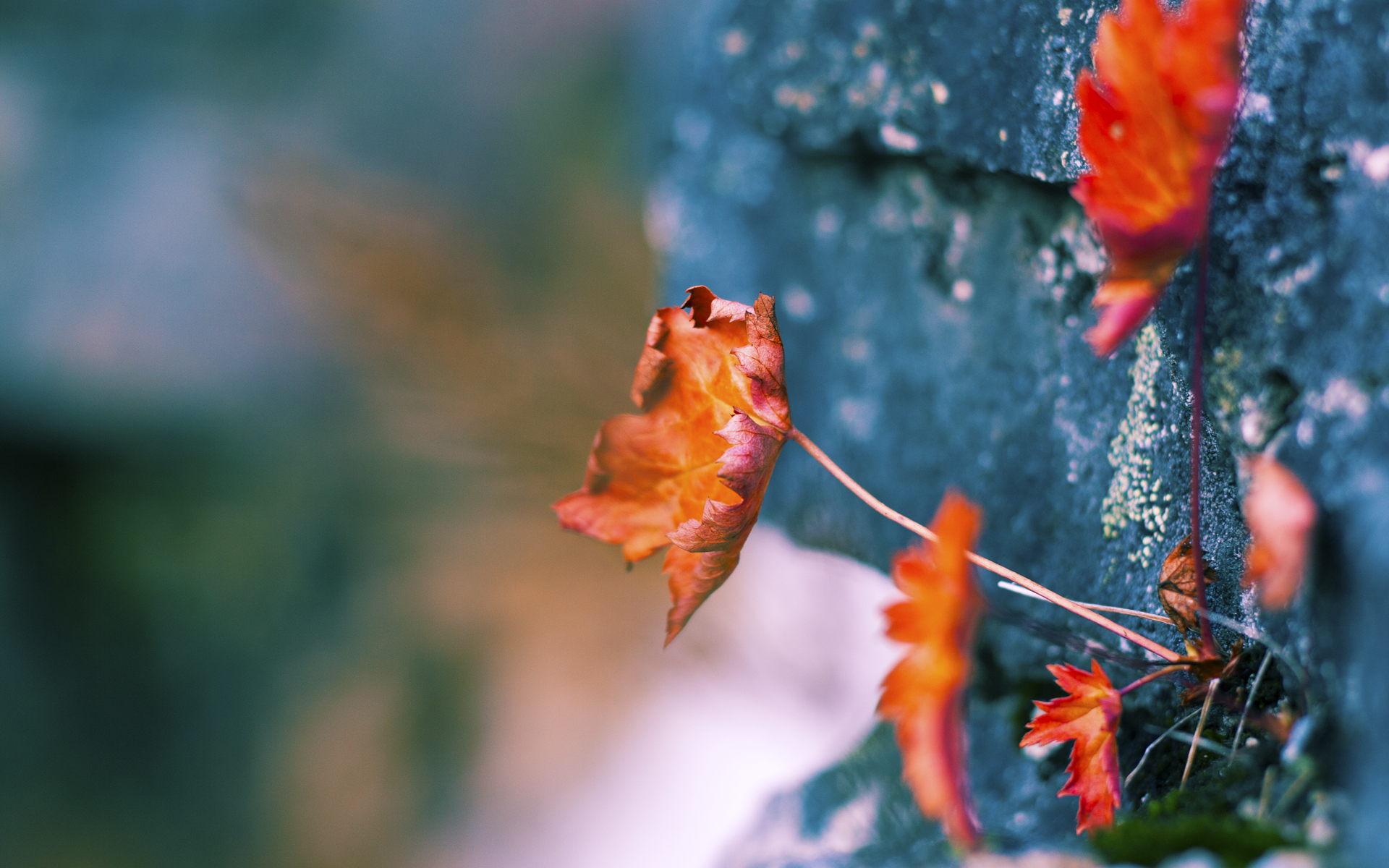 国家队新一期集训计划加入战术视频学习环节，国家队集训是什么意思