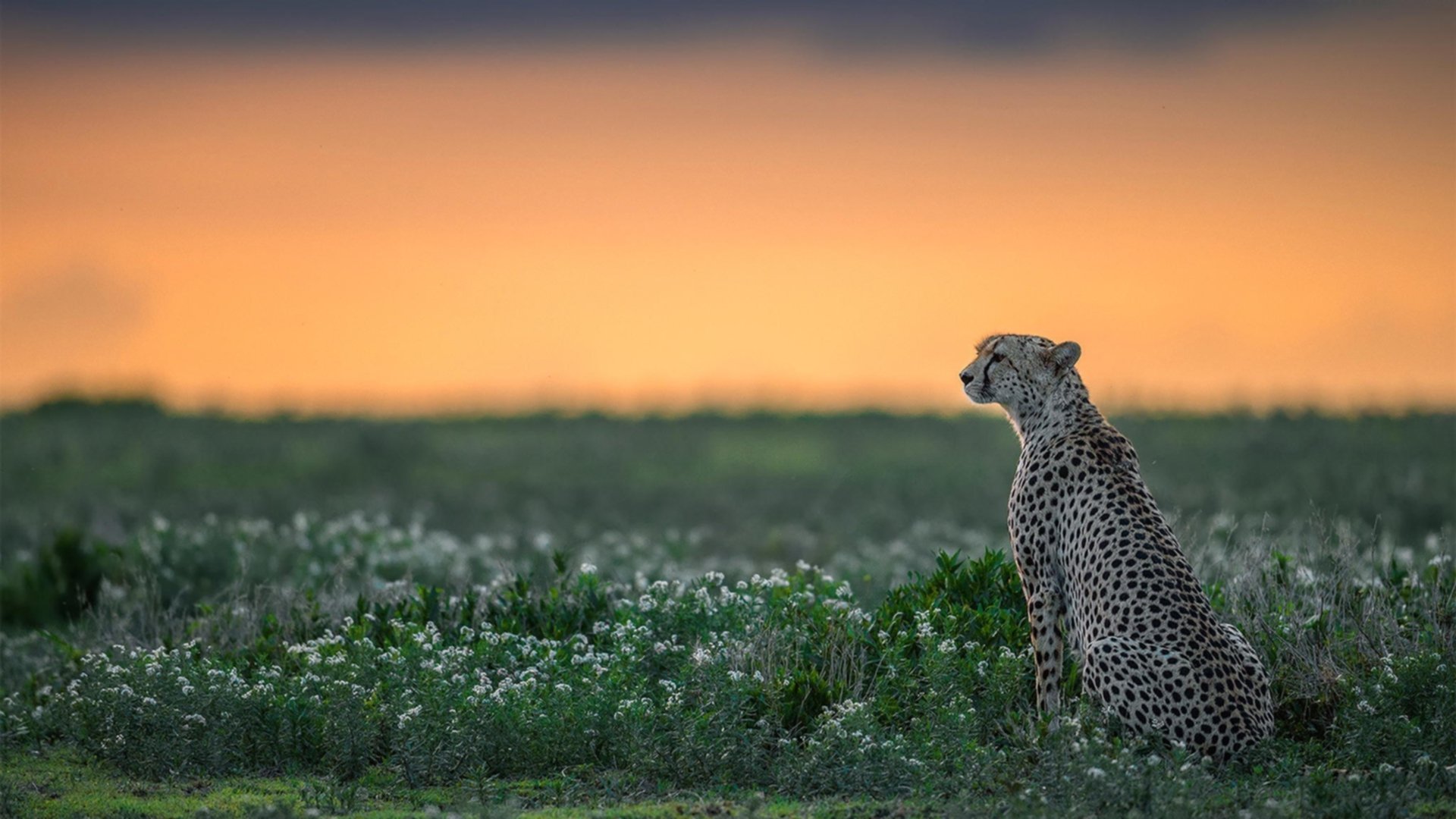 女子篮球青训注重身体素质与技能结合促进成长，女子篮球队训练内容