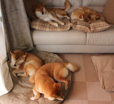 橄榄球运动迈向高质量发展阶段,橄榄球 运动