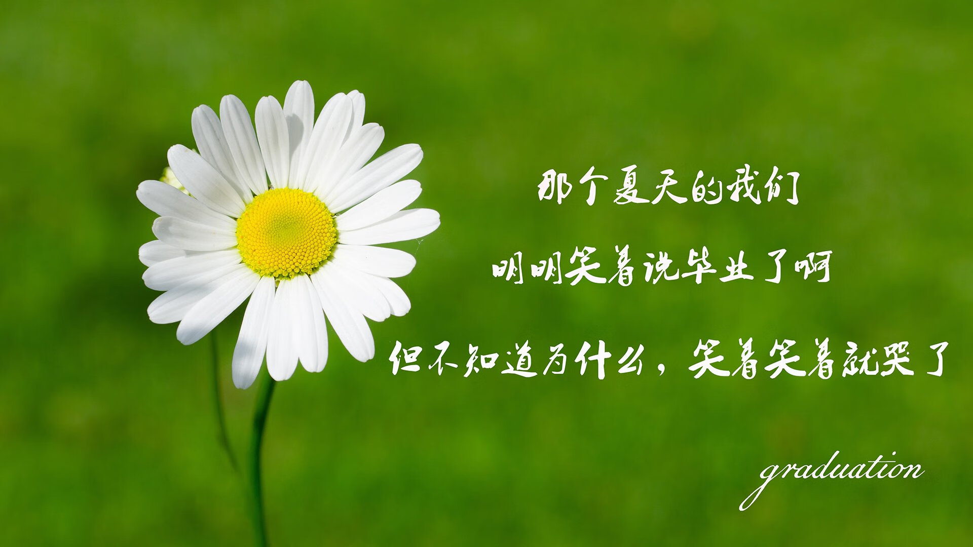欧洲杯赛事的安全应急预案,欧洲杯赛场突发意外