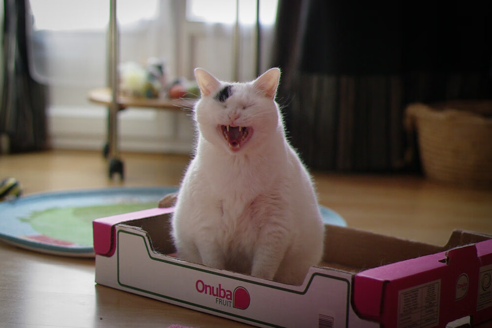 Kaiyun APP-西甲超级射手：破门如雨，连连得分！，西甲射手榜规则