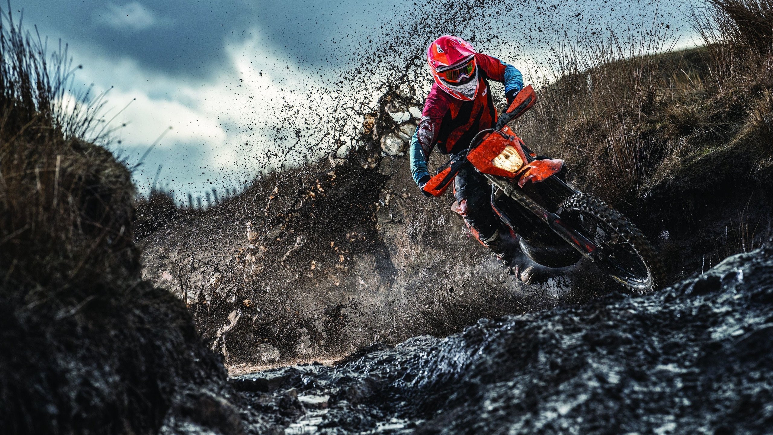 开云首页登录-_人工智能助力体育：未来比赛的智能化革命_，未来人工智能在体育领域能带来哪些应用